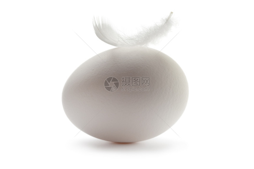 白色背景上有羽毛的新鲜白蛋图片