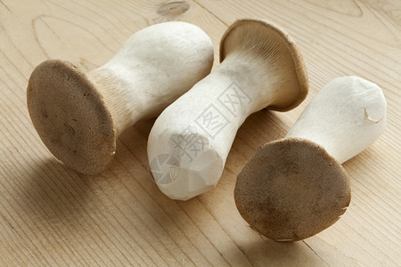 新鲜的生王牡蛎蘑菇图片