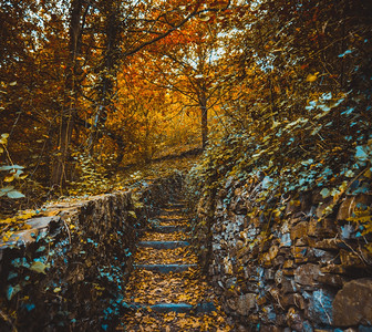 秋季风景图片