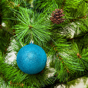 圣诞舞会在fir树枝上xmas装饰图片