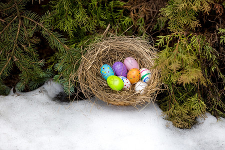 隐藏在后院巢中的复活节彩蛋近照片图片
