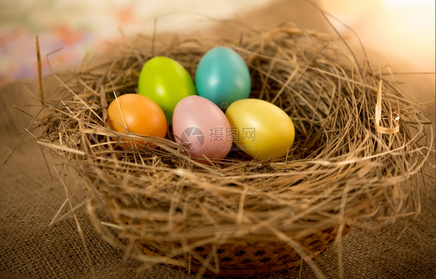 5个复活节鸡蛋躺在巢里图片