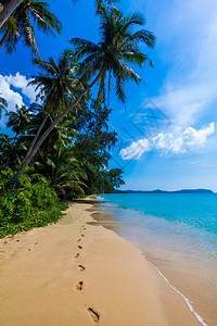 热带天堂美丽的海滩图片