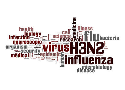 H3N2字云高清图片