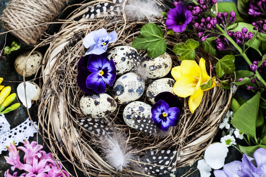 复活节背景有鸡蛋蜂巢和鲜花图片