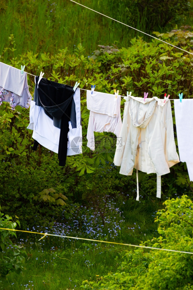 干家务活清洁湿洗的衣服挂在户外的衣着线上图片
