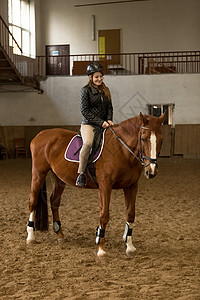 美丽的年轻女子骑棕色马在室内场高清图片