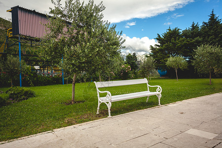 公园白色长凳的美丽景有树木和草坪图片