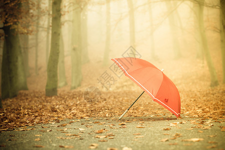 秋天概念健康的活跃生方式秋天的红伞落叶背景酸雾日阳光背景