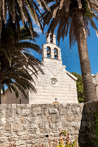 在古老的Basilica附近生长的美丽棕榈树景观图片