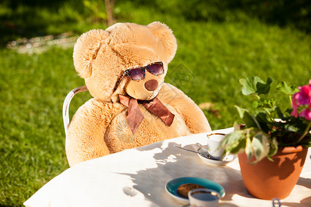 棕色泰迪熊在太阳眼镜下户外吃早餐图片