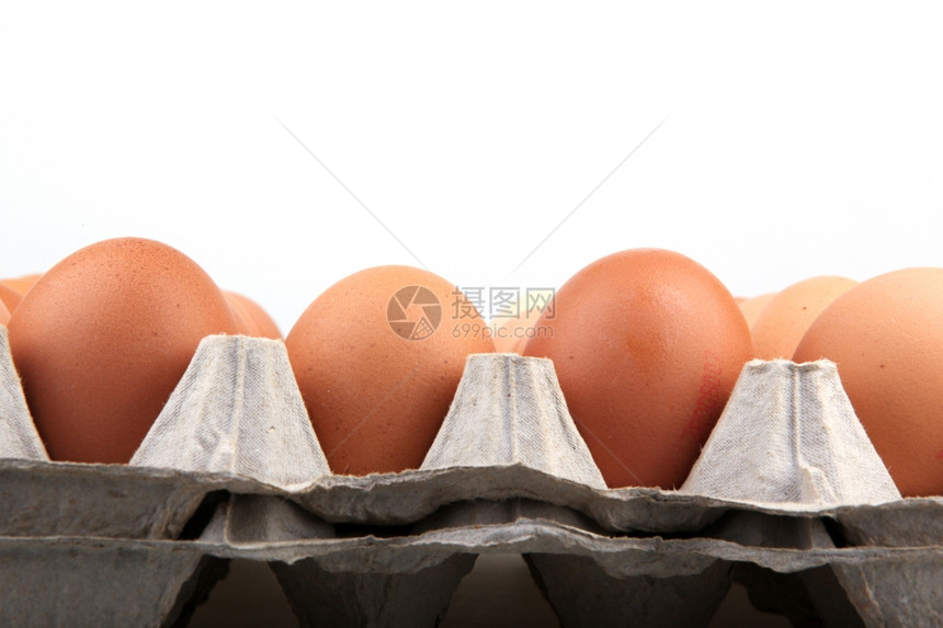 鸡蛋摄影图图片