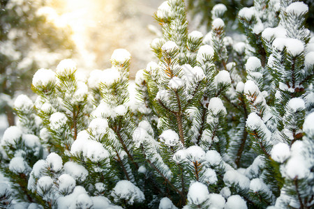 只是近黄昏雪中遮盖的壁画与日光照耀的太阳近背景