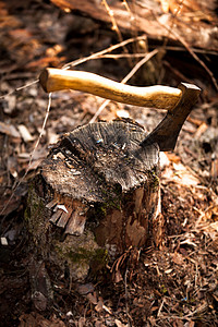 斧头铁斧卡在森林的原木中背景
