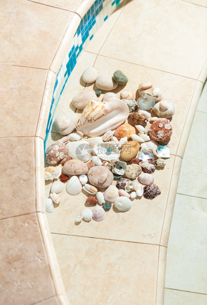 泳池底部的贝壳和石块照片图片