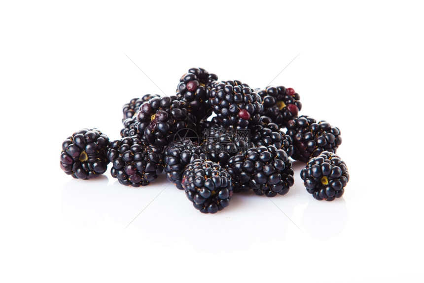 白色背景中隔离的有机黑莓组图片