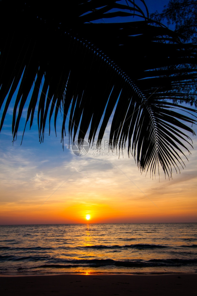海面上美丽的日落海滩上棕榈树的风景图片