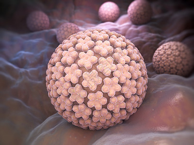 人类瘤病毒(HPV)是瘤病毒家族的DNA病毒,能够感染人类。背景图片