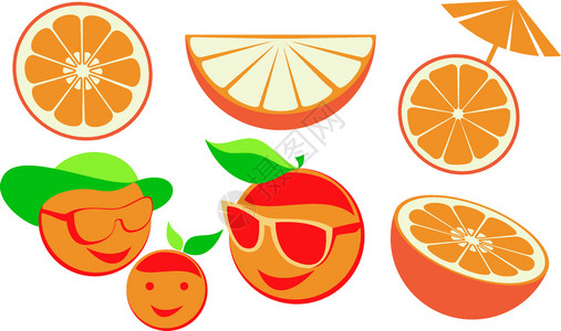 橘子叶简单的橙子整片半和切插画