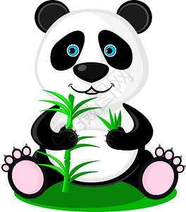 吃竹子的可爱大熊猫矢量卡通插图背景图片