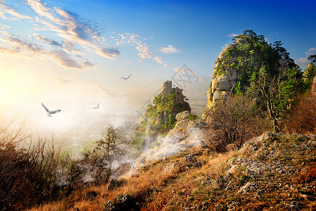 秋天清晨鸟在大悬崖上图片