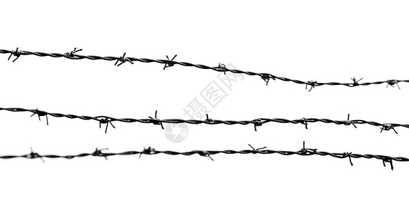 战争难民白色背景的Barbed线条背景