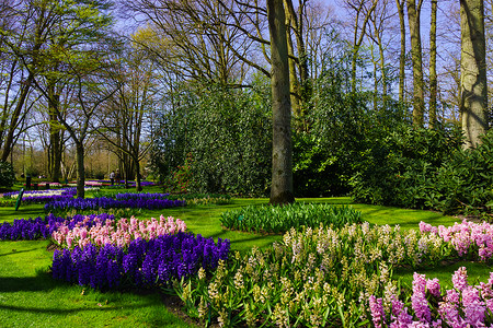 美丽的花园春天公风景图片