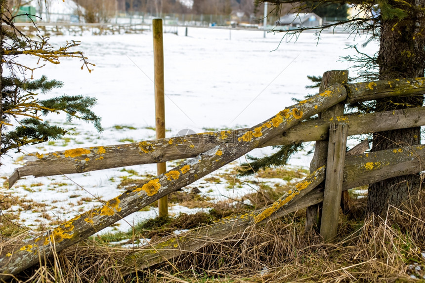 冬季农场的旧木制围栏图片