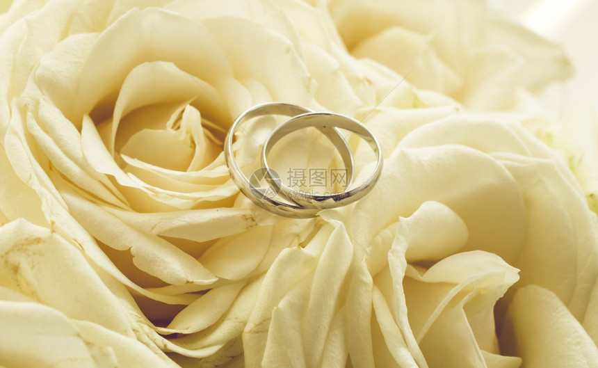 白色玫瑰上挂着戒指的婚礼背景图片
