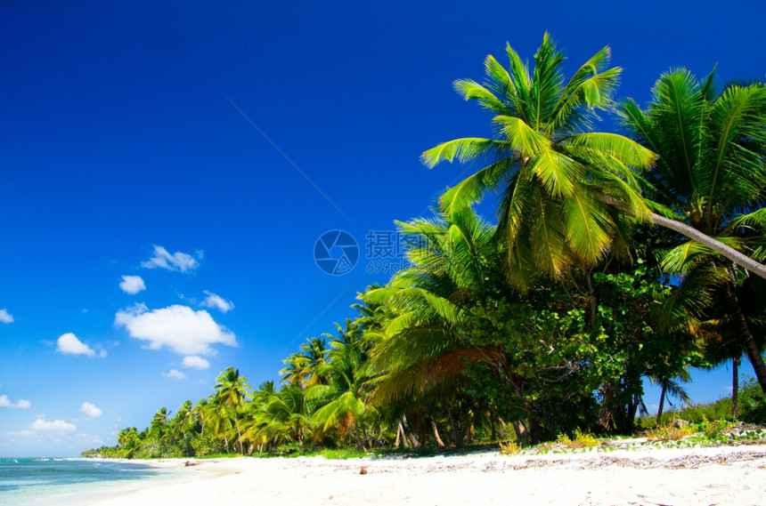 沙滩和美丽的热带海图片