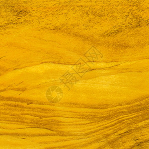木墙纹理棕黄色的红树林老木本底方形图片