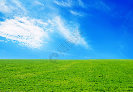 草和天空图片