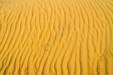 金色沙漠中的质背景图片