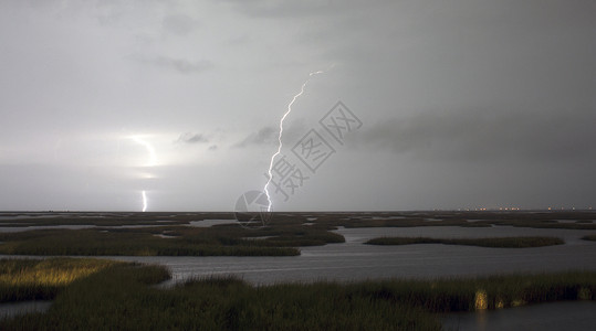 墨西哥湾的沼泽地区 被暴风雨高清图片