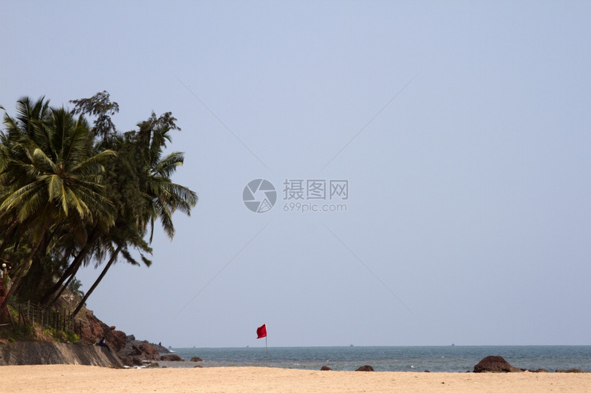 果阿印地安海滩美丽的棕榈树图片