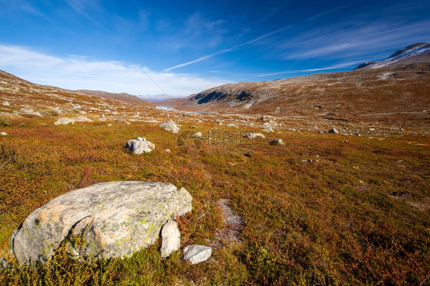 阳光明媚的秋天风景挪威GamleStrynefjellsvegen图片