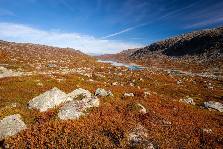 阳光明媚的秋天风景挪威GamleStrynefjellsvegen图片