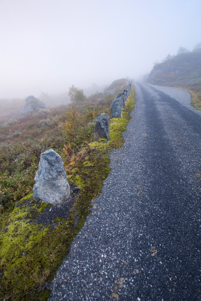 挪威Foggy公路图片