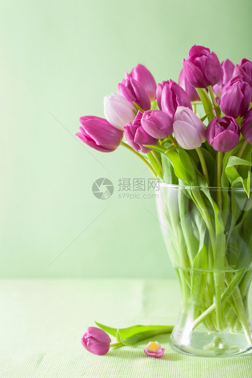 花瓶中美丽的紫色郁金花朵图片
