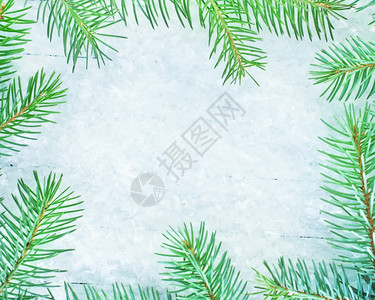 冬季背景雪上的圣诞节树图片