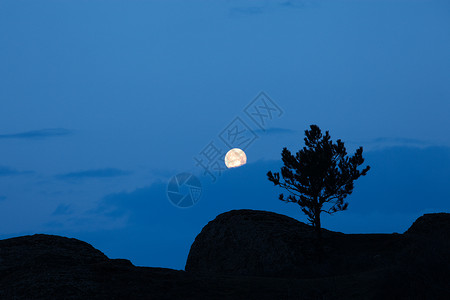乌克兰里米亚Demerdzhi山Demerdzhi山树背和满月背景图片
