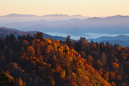 美国大烟山家公园Smoky山的日出图片
