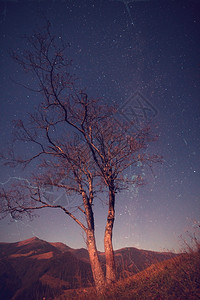 山丘上的星光夜景图片