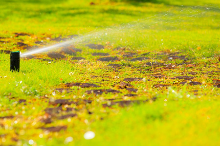 灌溉系统花园用水技术图片