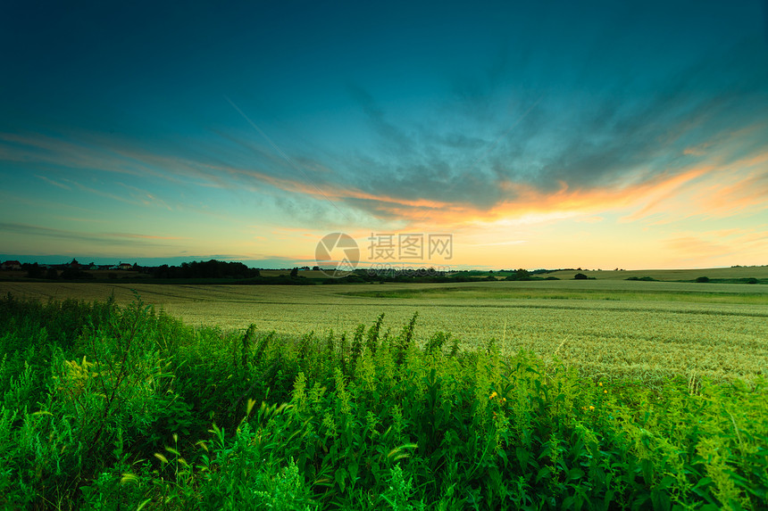 夜晚风景美丽的黄色日落或夏草原的出图片