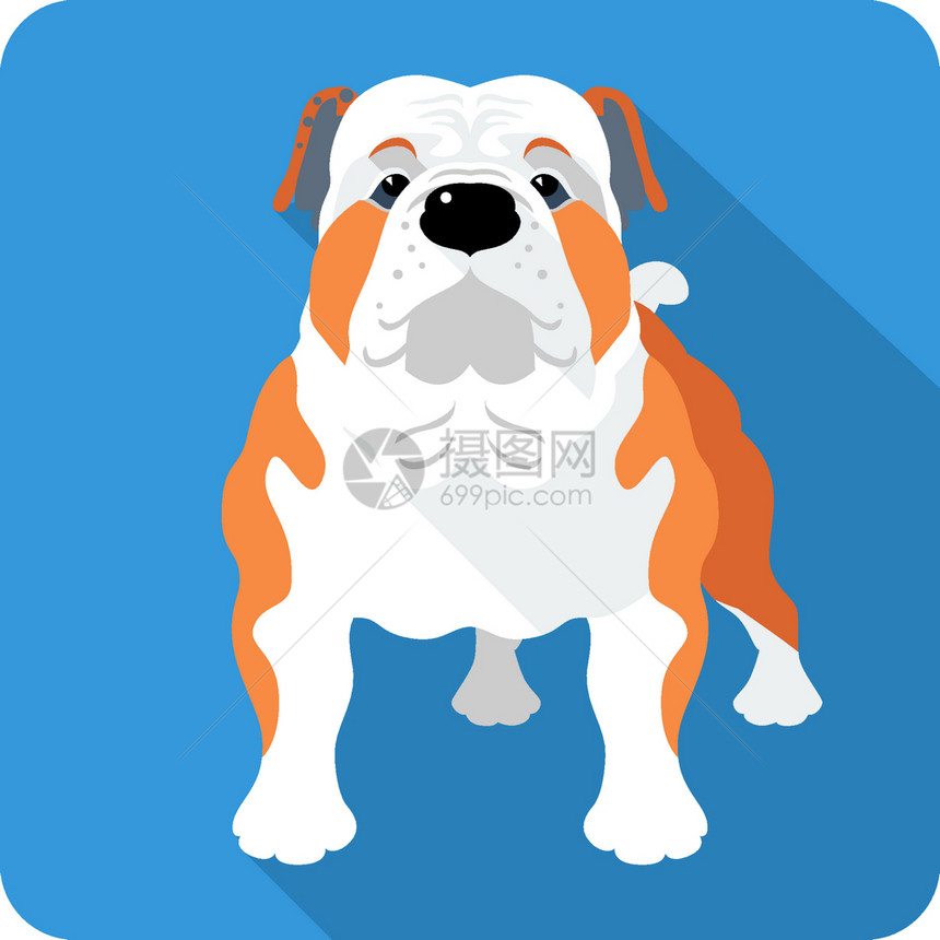 Bulldog图标设计DogEnglish图片