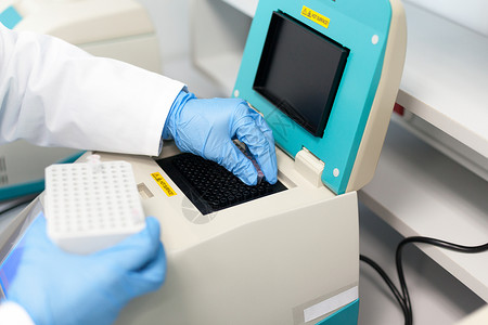 抽样具有聚合酶链反应DNA样本的泰辛尼加装试管手套PCR背景