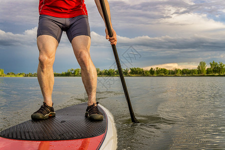 手起立的桨板上肌肉男护腿人夏天的平静湖高清图片