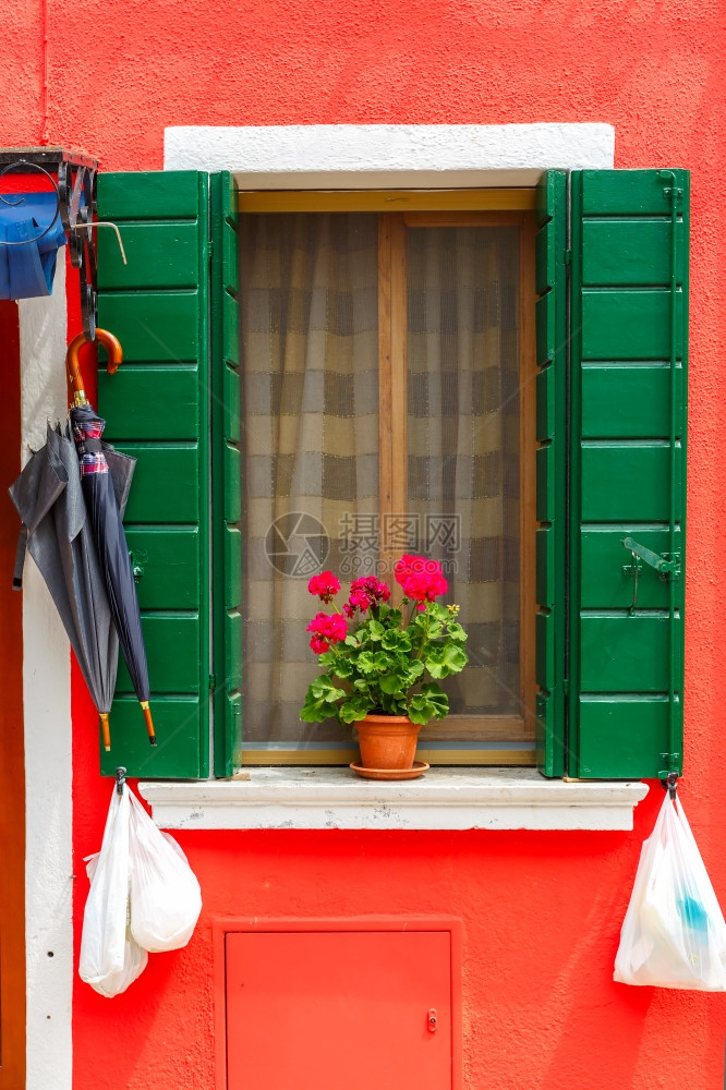 在著名的意大利威尼斯岛布拉诺的红墙上有绿色百叶窗和鲜花的图片口图片