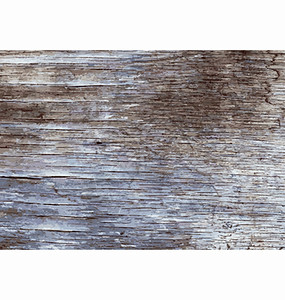 木板结构旧油漆木质纸EPS10矢量说明没有透度插画